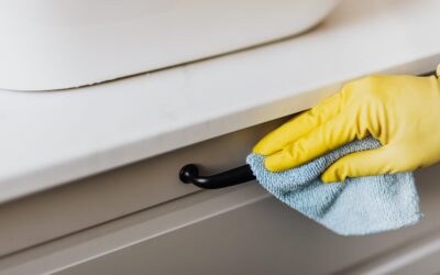 How To Prevent & Eliminate Pests In Your House For Rent In Owasso