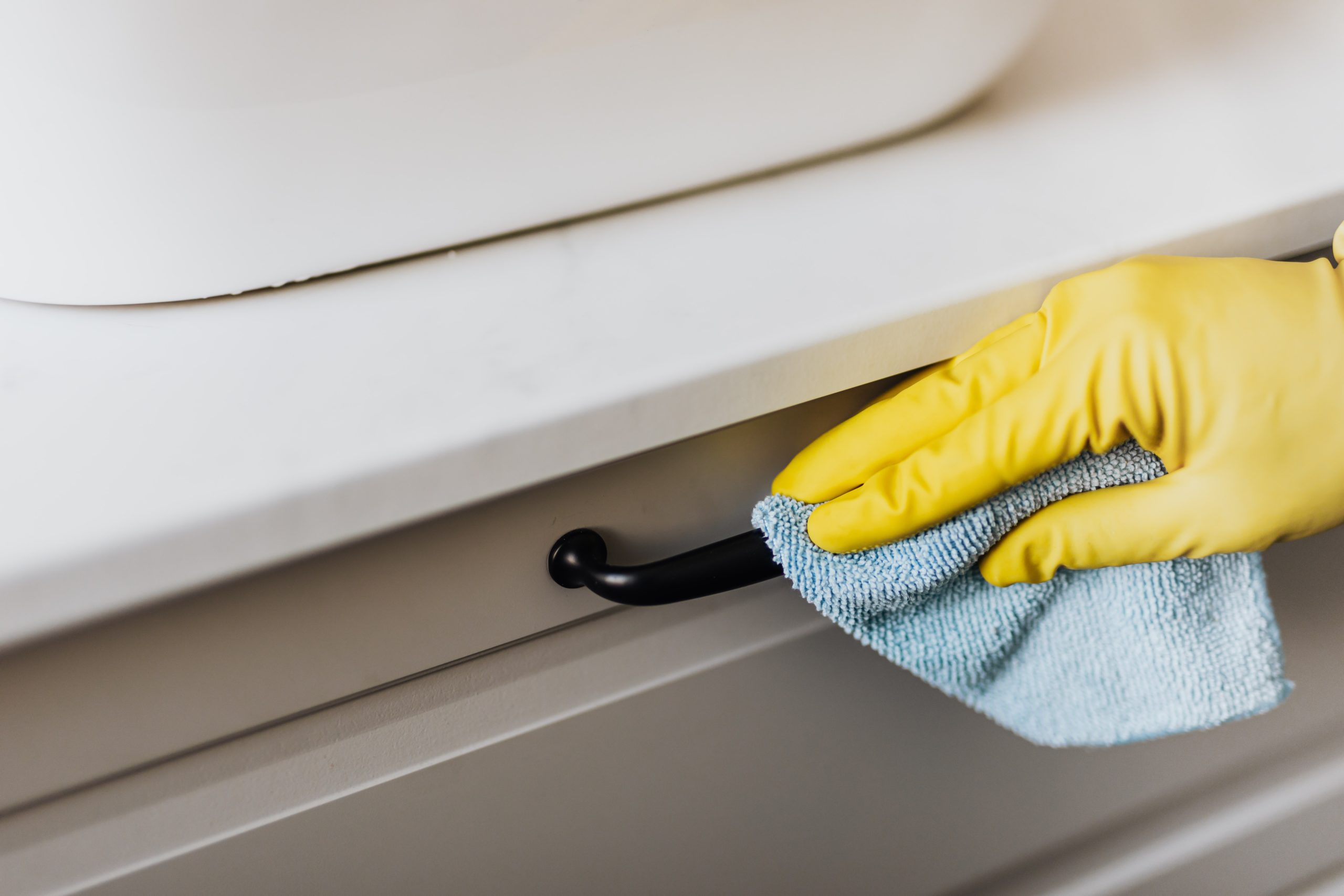 pexels-karolina-grabowska-4239032 How To Prevent & Eliminate Pests In Your House For Rent In Owasso