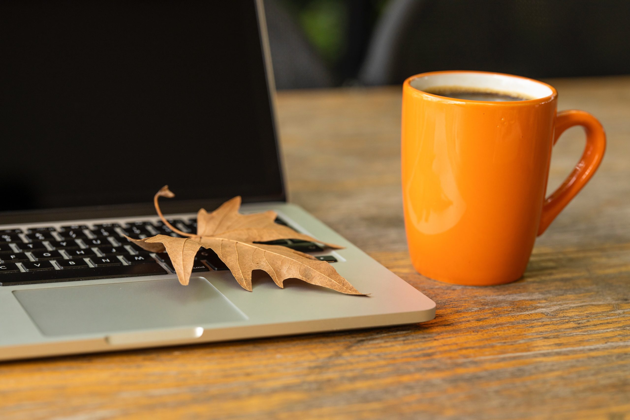 pexels-engin-akyurt-3219549 leaf on computer fall decor