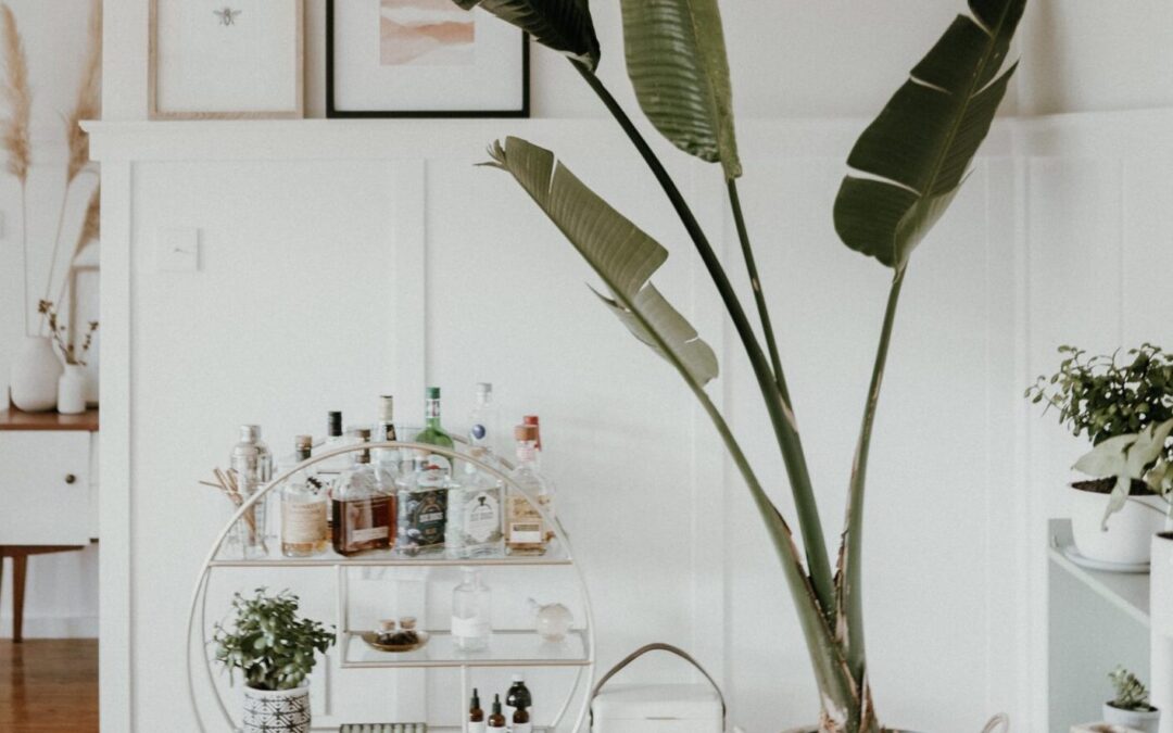 Crafting the Ideal Bar Cart for Your Owasso Home For Rent