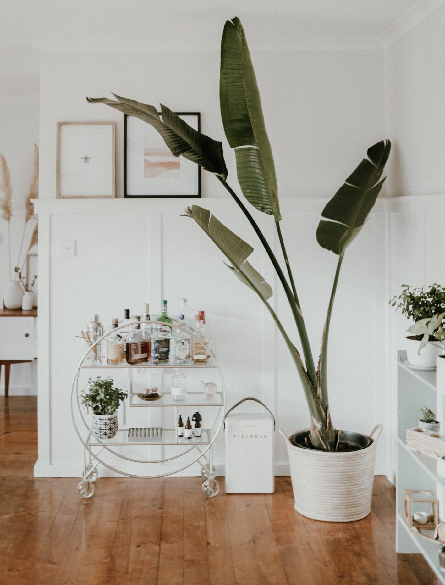 bar cart in modern home next to large plant owasso home for rent blog essential bar cart