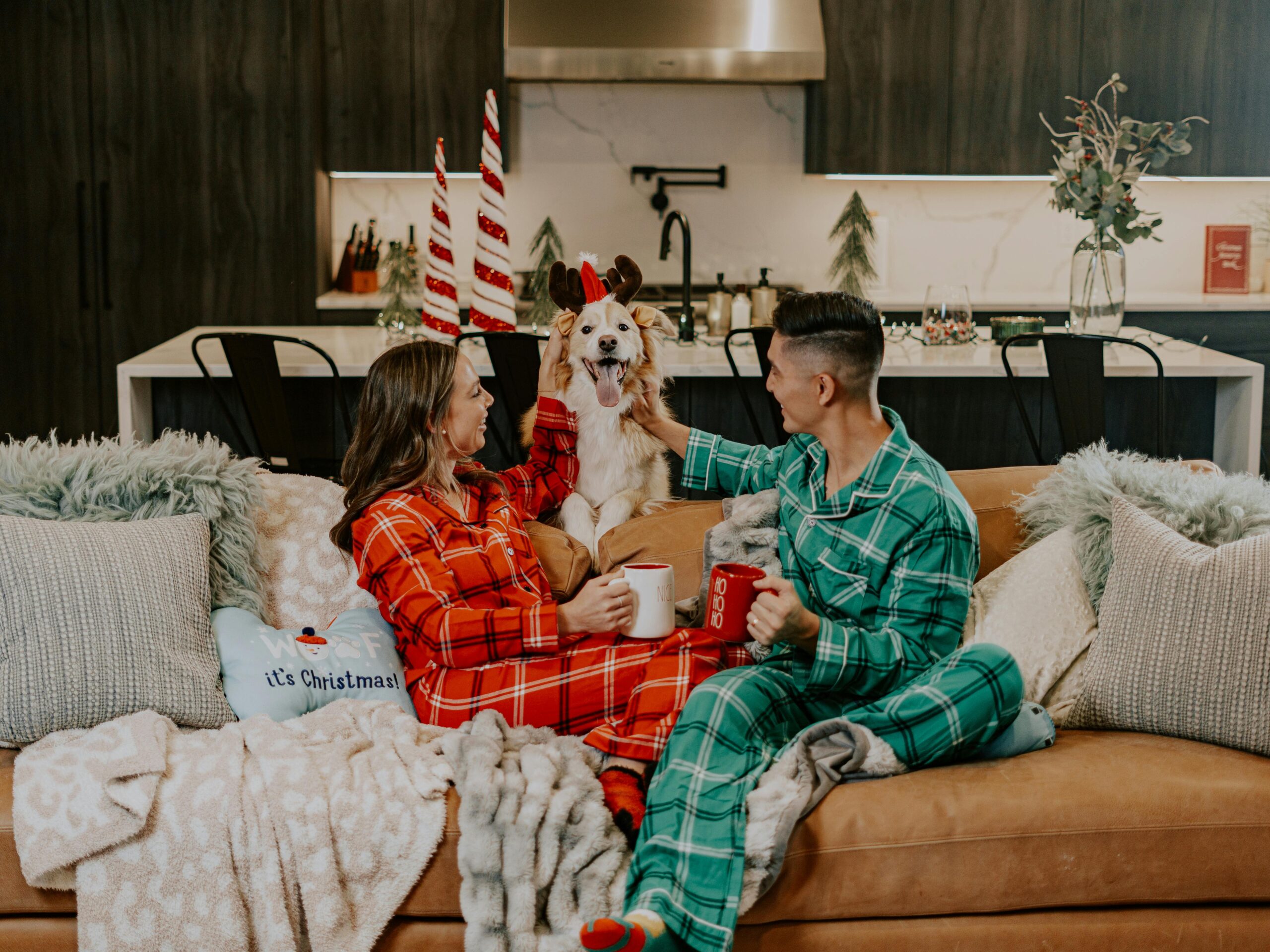 pexels-impact-dog-crates-1789722873-28829833 How to Keep from Getting Overwhelmed During the Holidays legacy living blog