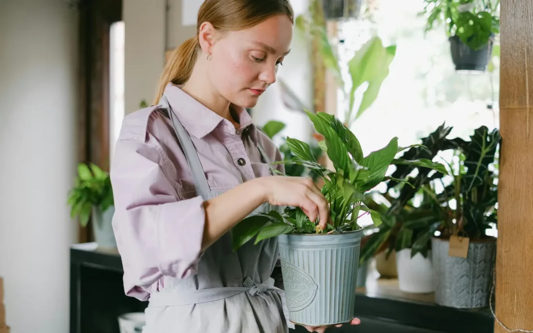 Why More People Are Bringing Gardening Into Everyday Home Living