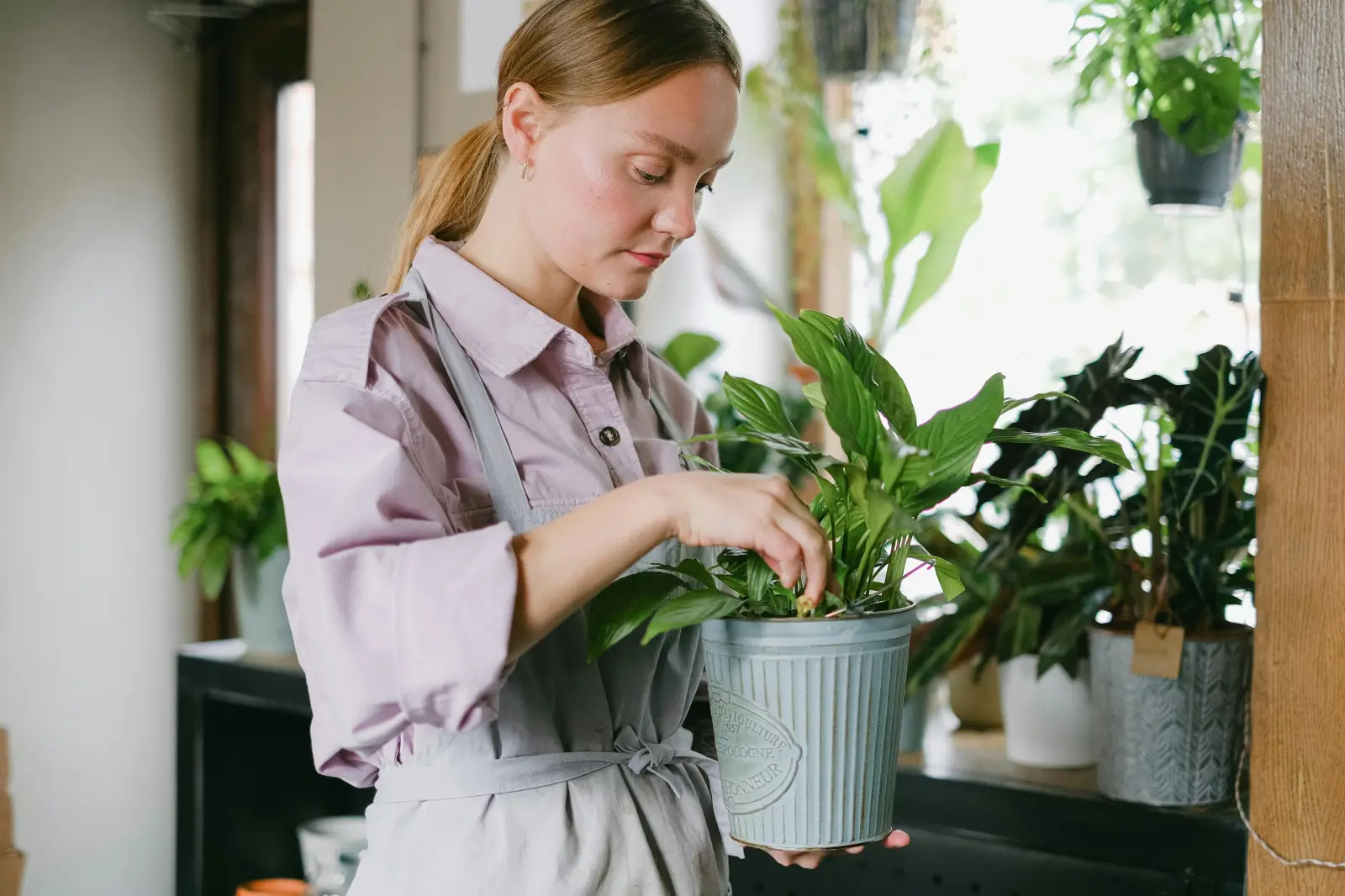 pexels-shvetsa-5894033 Why More People Are Bringing Gardening Into Everyday Home Living